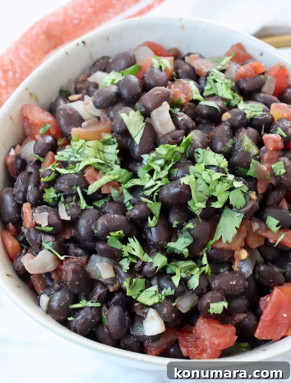 black beans and diced tomatoes in bowl topped with fresh cilantro
