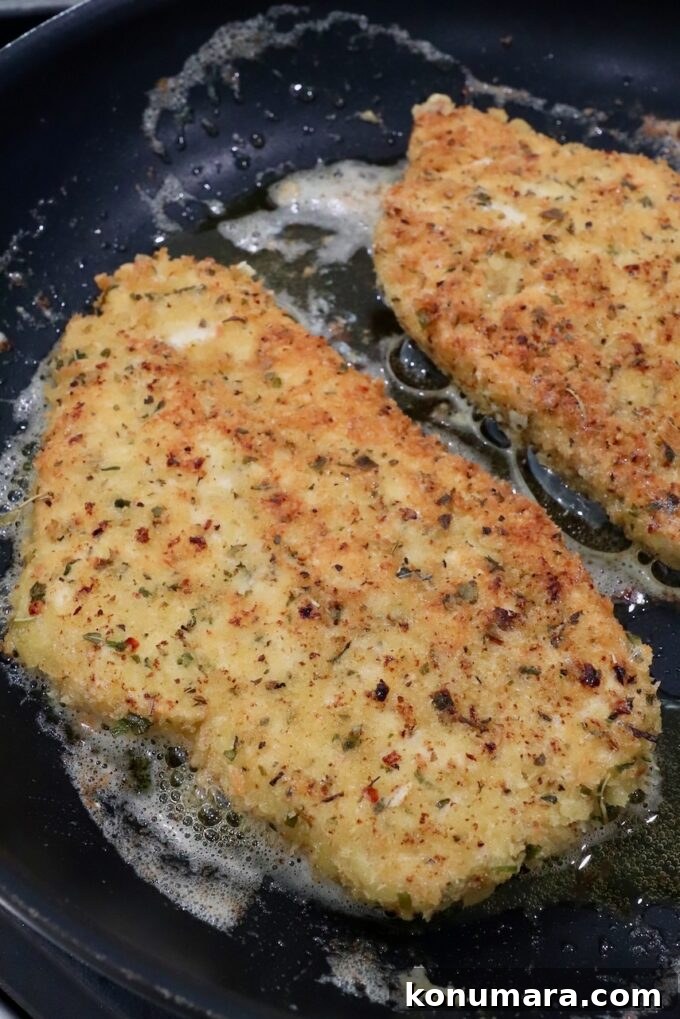 Crispy Parmesan-Crusted Chicken Recipe 12 cooked parmesan crusted chicken breasts in a skillet on the stove