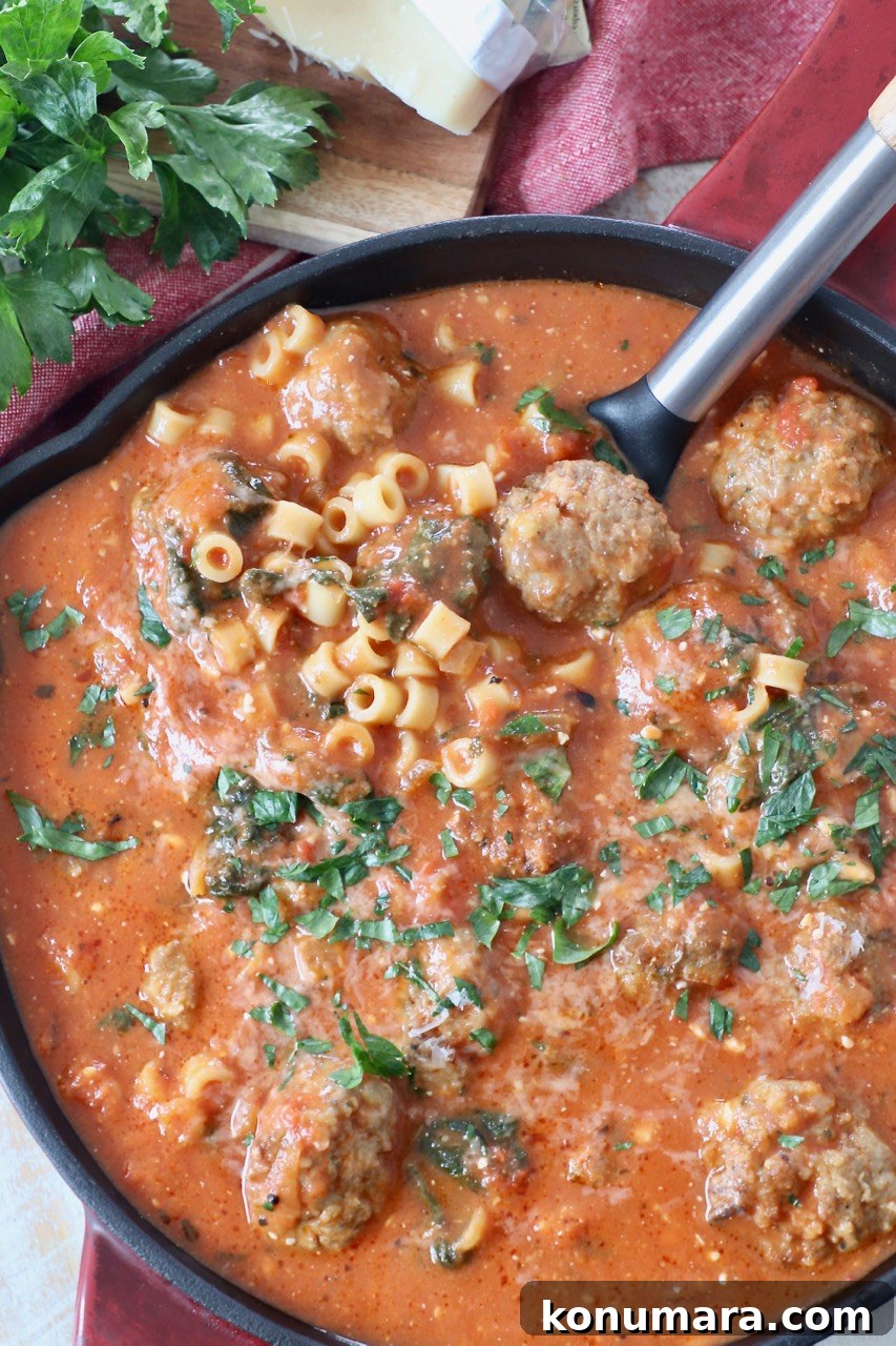 Crispy, Juicy Air Fryer Meatballs Recipe 8 meatball soup in saucepan with serving spoon