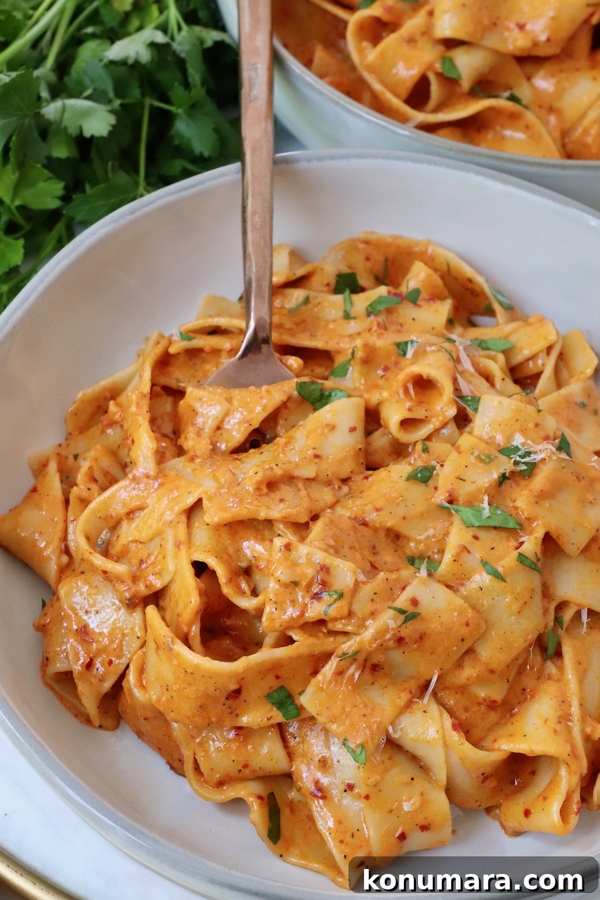 Spicy Nduja Pasta Recipe with Cherry Tomatoes 2 pappardelle pasta tossed with nduja sauce in bowl with fork