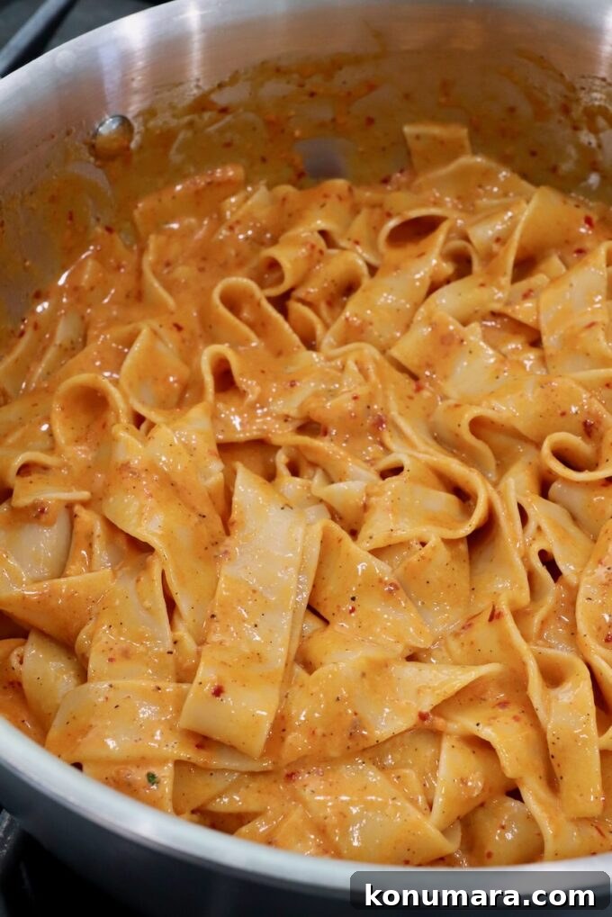 Spicy Nduja Pasta Recipe with Cherry Tomatoes 7 pappardelle pasta noodles tossed with nduja sauce in a pan