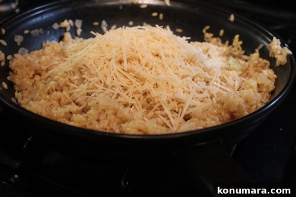 roasted vegetable orzo, creamy orzo recipe, risotto style orzo, creamy vegetable orzo, roasted vegetable risotto, vegetarian risotto, vegetarian orzo recipe, recipes