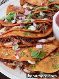 Quesabirria Tacos