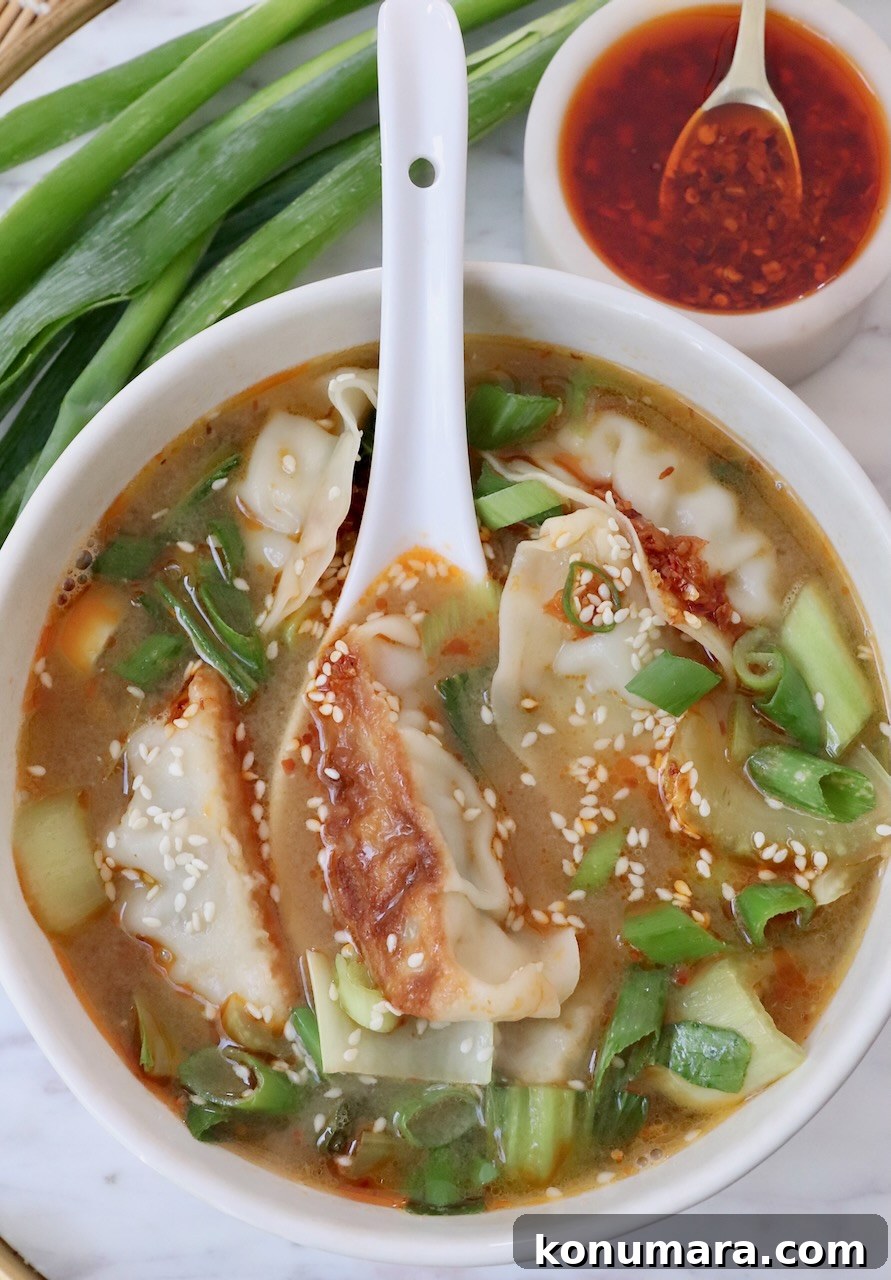 Japanese Gyoza Soup Recipe with Pork Dumplings 2 gyoza soup in bowl with spoon