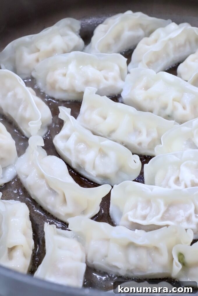 Japanese Gyoza Soup Recipe with Pork Dumplings 4 frozen gyoza in pan on the stove