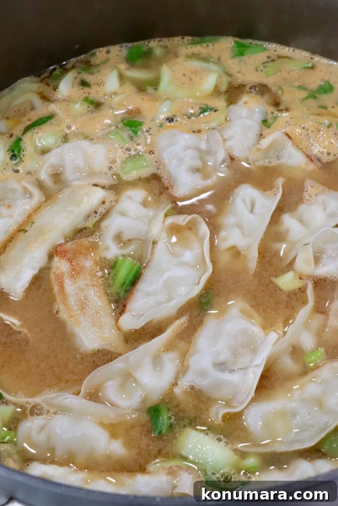 Japanese Gyoza Soup Recipe with Pork Dumplings 7 gyoza soup in a pot on the stove