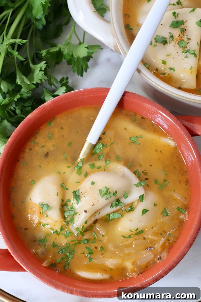 pierogi soup in bowls with a spoon