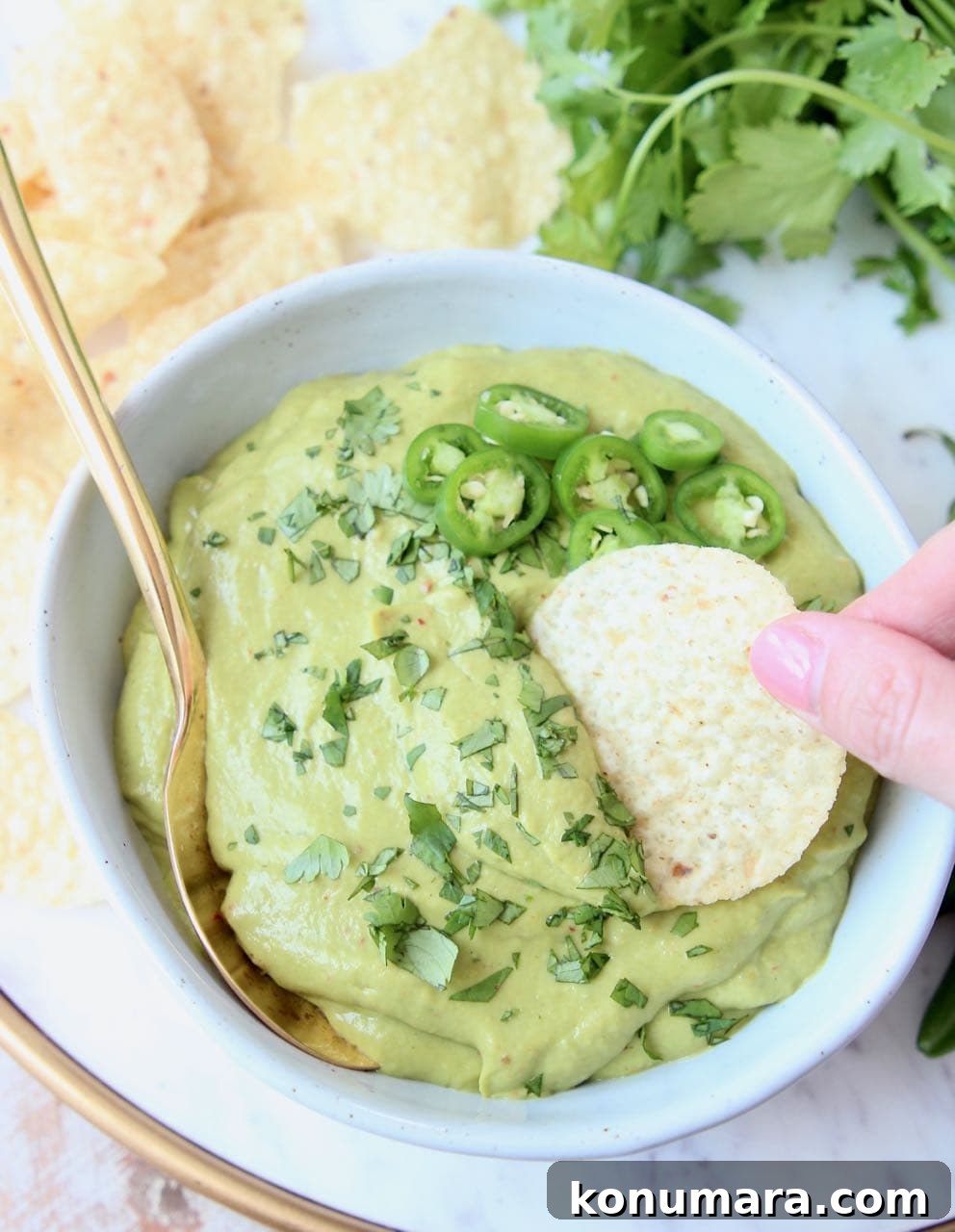 Tortilla chip being dipped into a bowl of avocado salsa