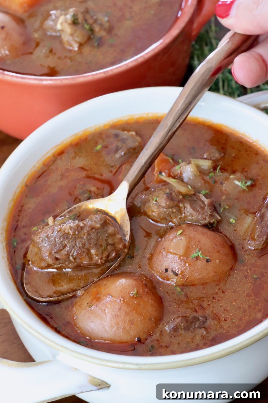Comforting Slow-Cooked Beef Stew Recipe 2 beef stew in bowl with spoon holding a piece of beef