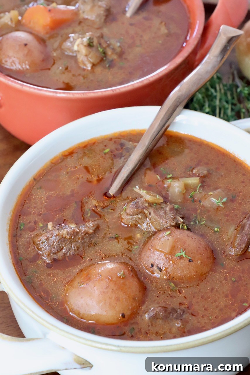 Comforting Slow-Cooked Beef Stew Recipe 11 beef stew in two bowls with spoons