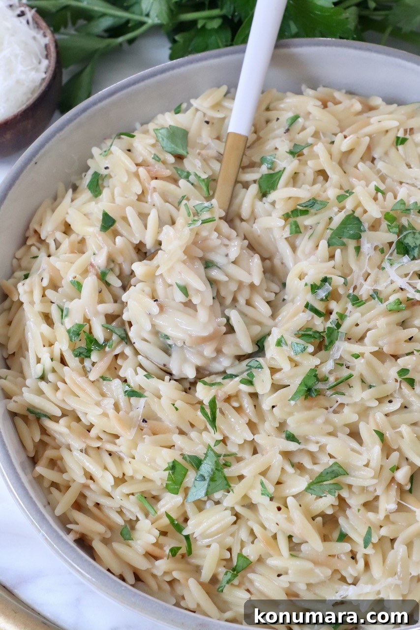 Creamy Garlic Parmesan Orzo Recipe 2 cooked orzo in a bowl with a spoon