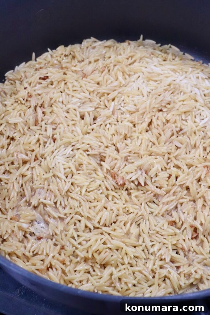 Creamy Garlic Parmesan Orzo Recipe 4 orzo pasta in a pot