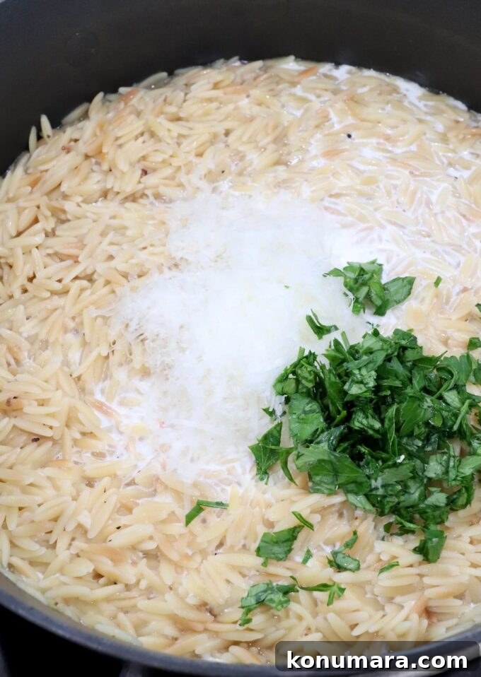 Creamy Garlic Parmesan Orzo Recipe 5 orzo pasta in a pot topped with parmesan cheese and parsley