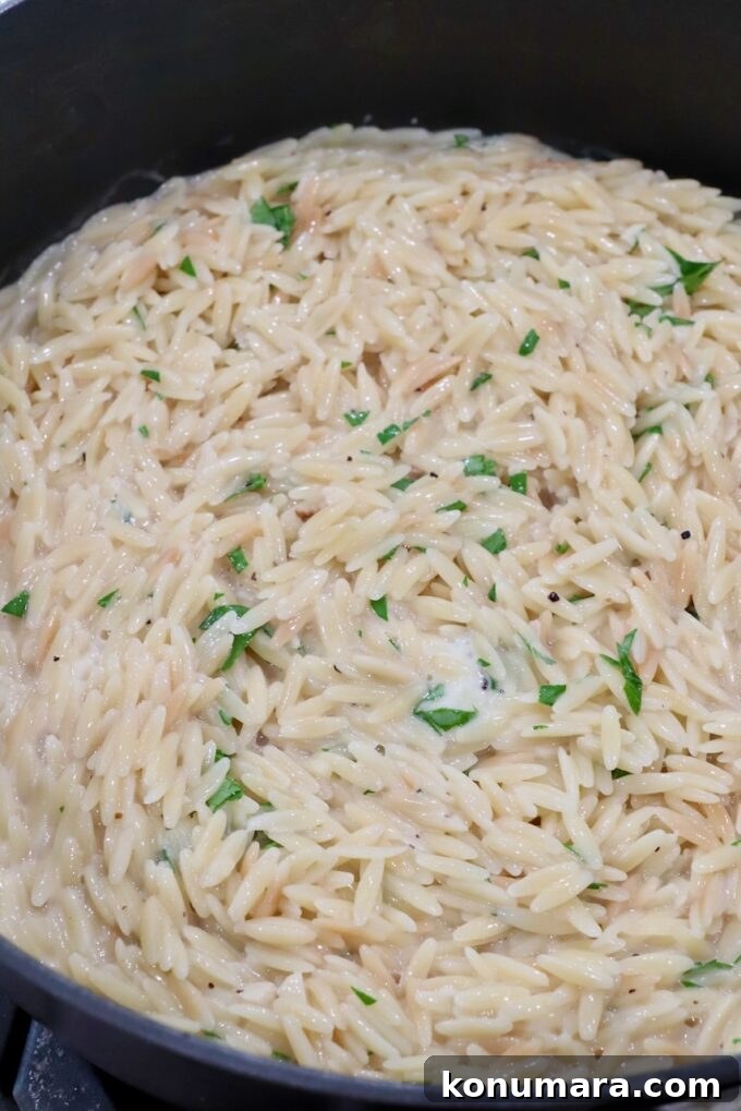 Creamy Garlic Parmesan Orzo Recipe 6 creamy orzo pasta prepared in a pot