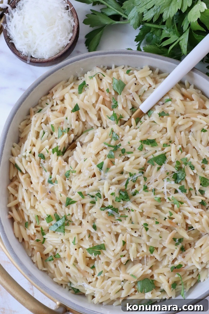 Creamy Garlic Parmesan Orzo Recipe 7 creamy orzo pasta in a bowl with a spoon