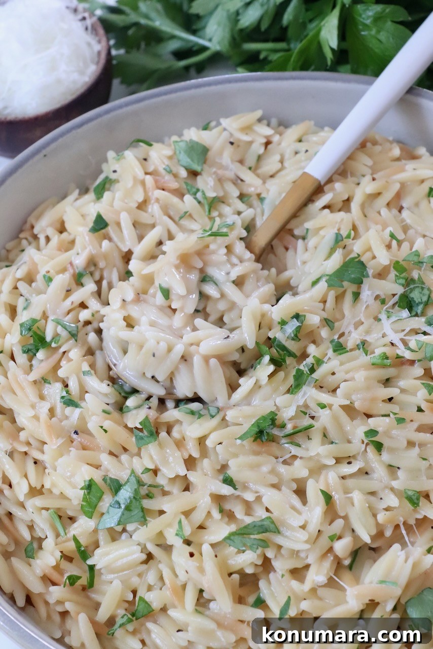 Creamy Garlic Parmesan Orzo Recipe 8 prepared orzo in a bowl with a spoon