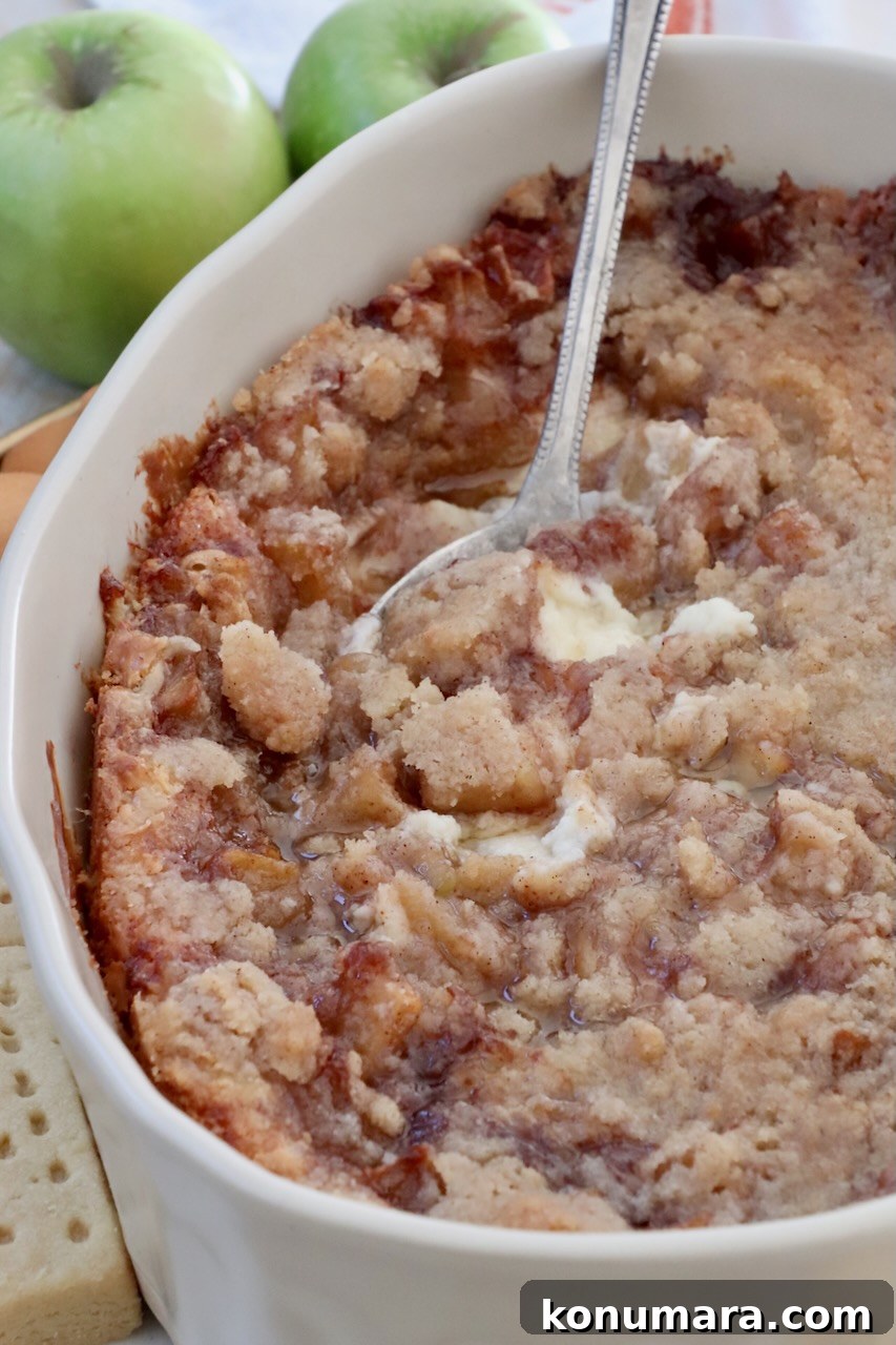 Baked apple pie dip ready to serve