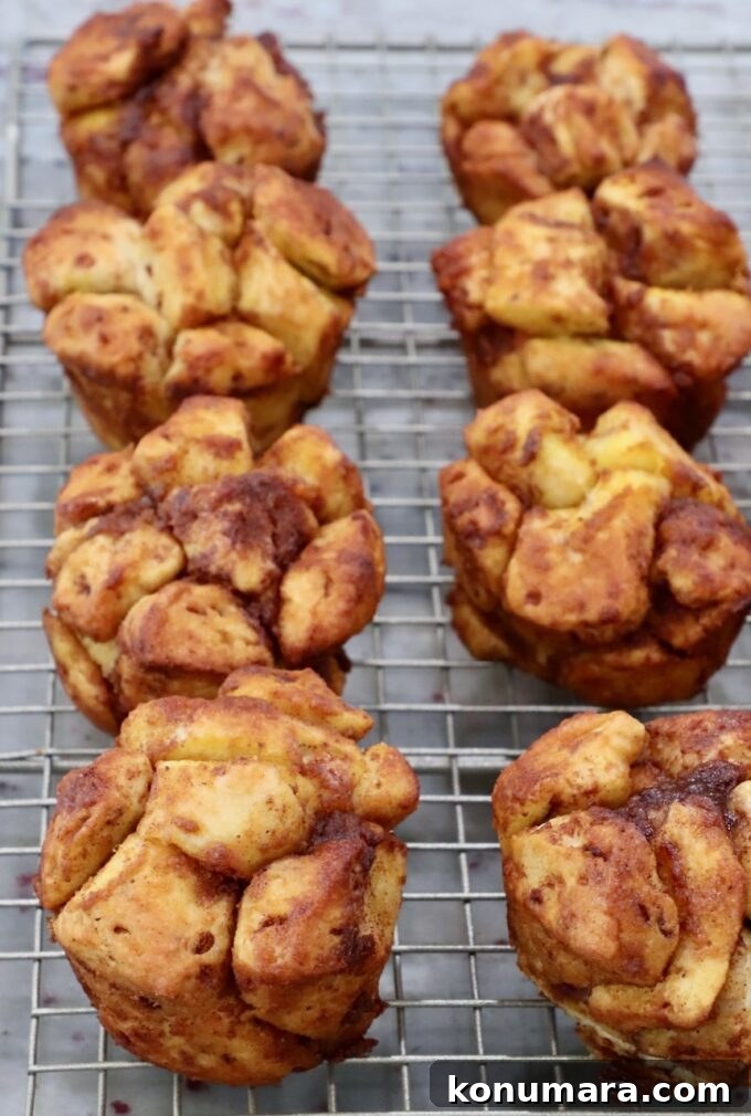 Maple-Glazed Pull-Apart Pumpkin Cinnamon Rolls 9 baked pull apart pumpkin cinnamon rolls on a wire rack