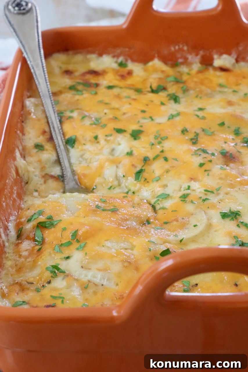Creamy Au Gratin Potatoes Recipe 2 au gratin potatoes in an orange casserole dish with a serving spoon
