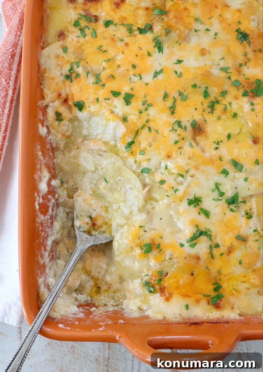 Creamy Au Gratin Potatoes Recipe 11 au gratin potatoes in an orange baking dish with a serving spoon