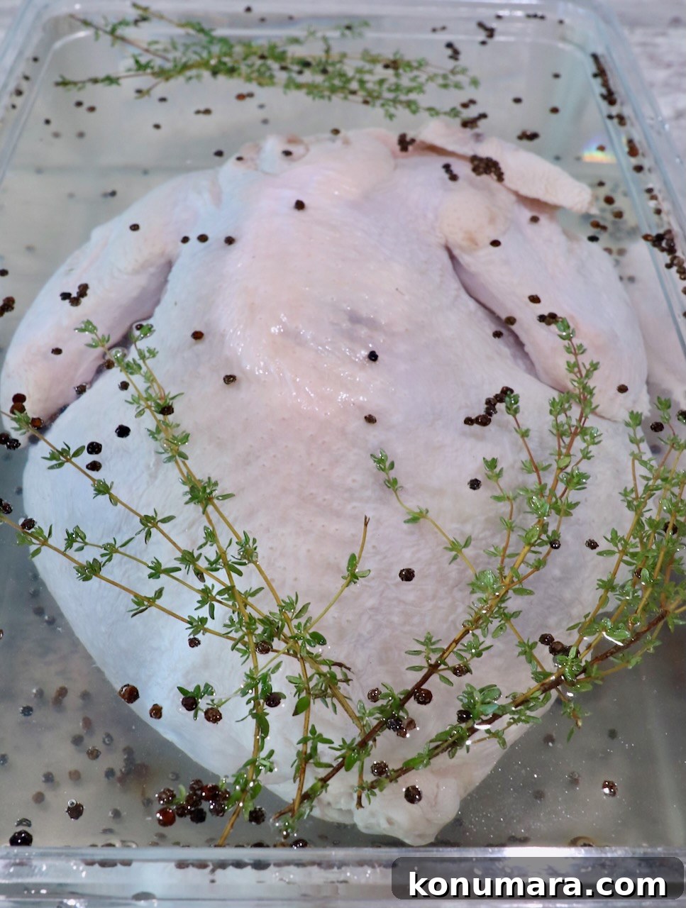 Smoked Turkey Recipe for Thanksgiving: Juicy, Crispy Skin 3 whole turkey in a plastic tub in a brine