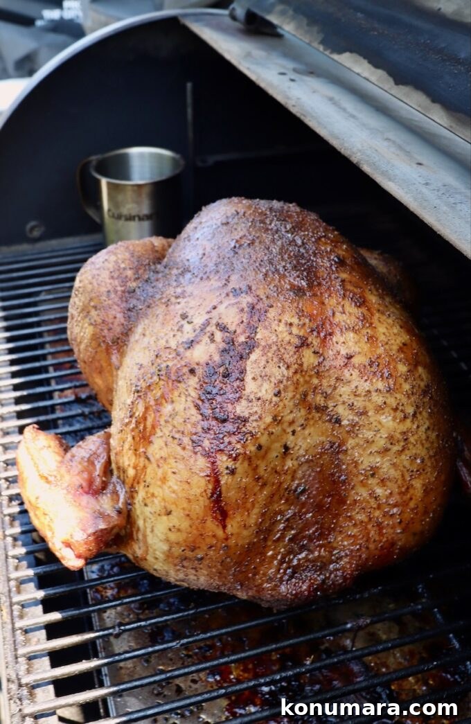 Smoked Turkey Recipe for Thanksgiving: Juicy, Crispy Skin 7 cooked turkey on a smoker