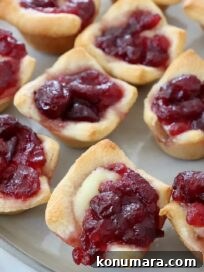 Cranberry Brie Bites