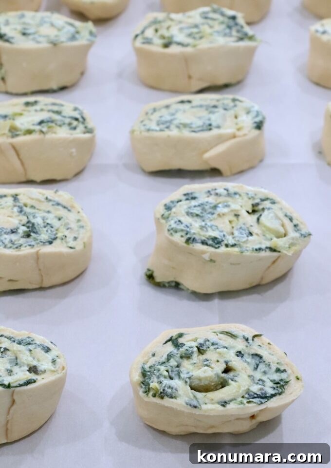 Spinach Pinwheels: Savory Appetizer Recipe 5 spinach pinwheels uncooked on a baking sheet