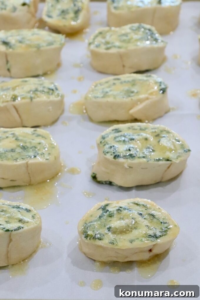 Spinach Pinwheels: Savory Appetizer Recipe 6 spinach artichoke rolls brushed with butter on a baking sheet