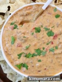 queso dip in a bowl with a spoon