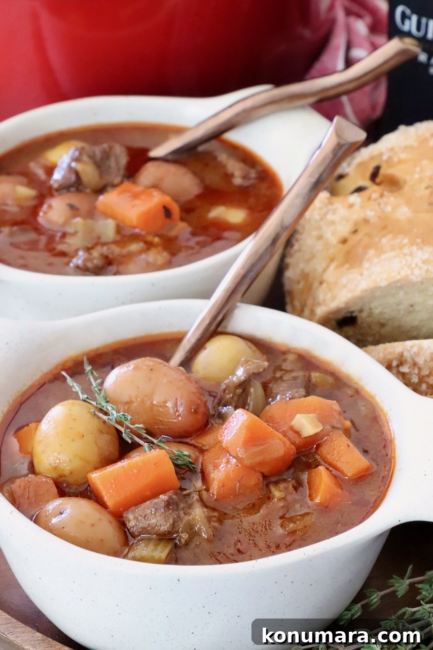 Irish stew in two bowls with spoons