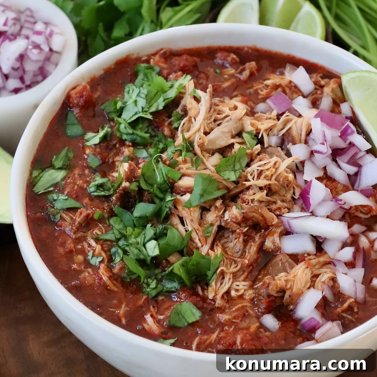 chicken birria with consommé and chopped onions