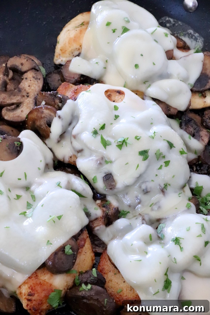 Pan Seared Chicken with Mushrooms and Swiss Cheese 2 swiss cheese melted over cooked mushrooms on top of chicken in a skillet