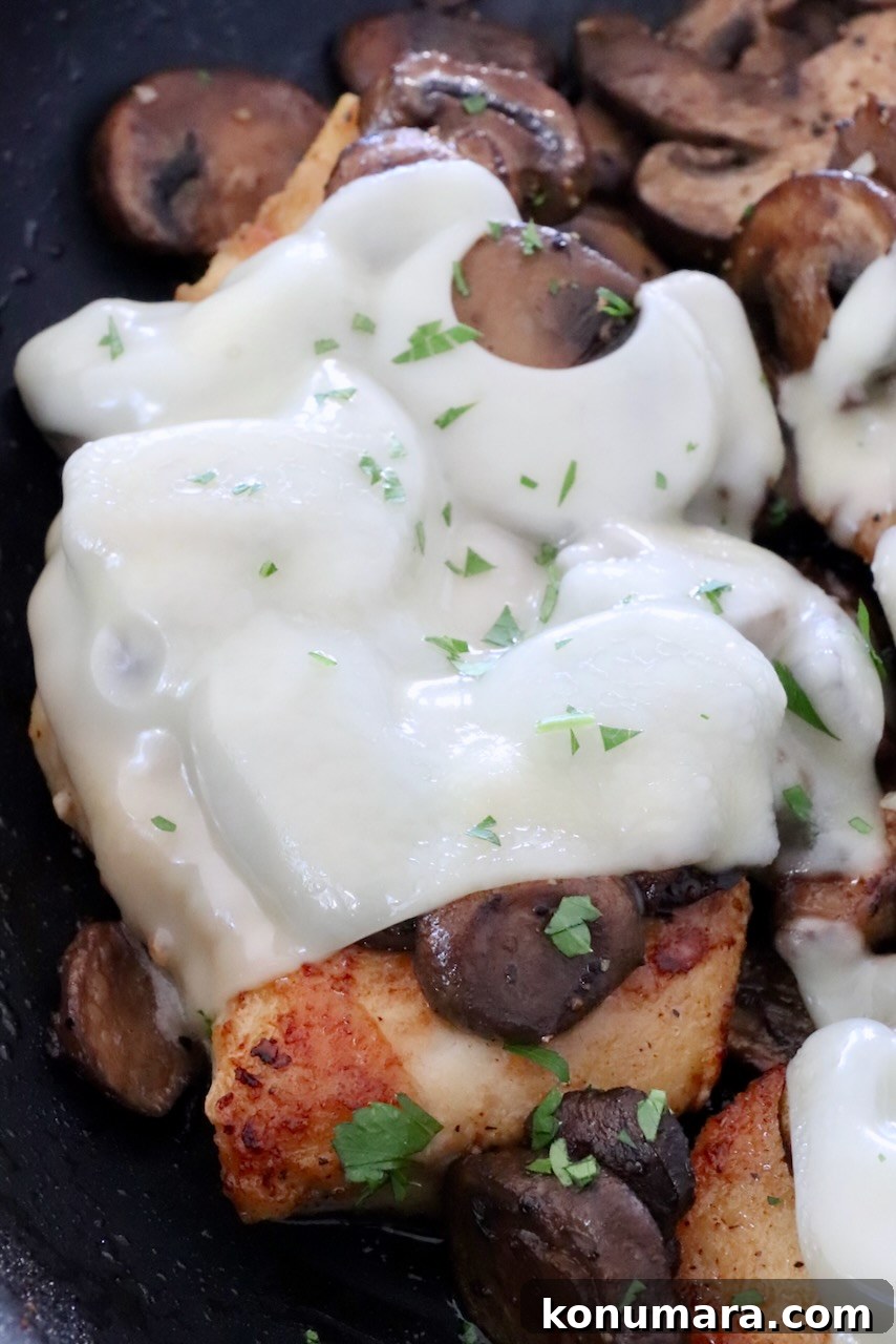 Pan Seared Chicken with Mushrooms and Swiss Cheese 14 cooked chicken topped with mushrooms and melted swiss cheese in a skillet