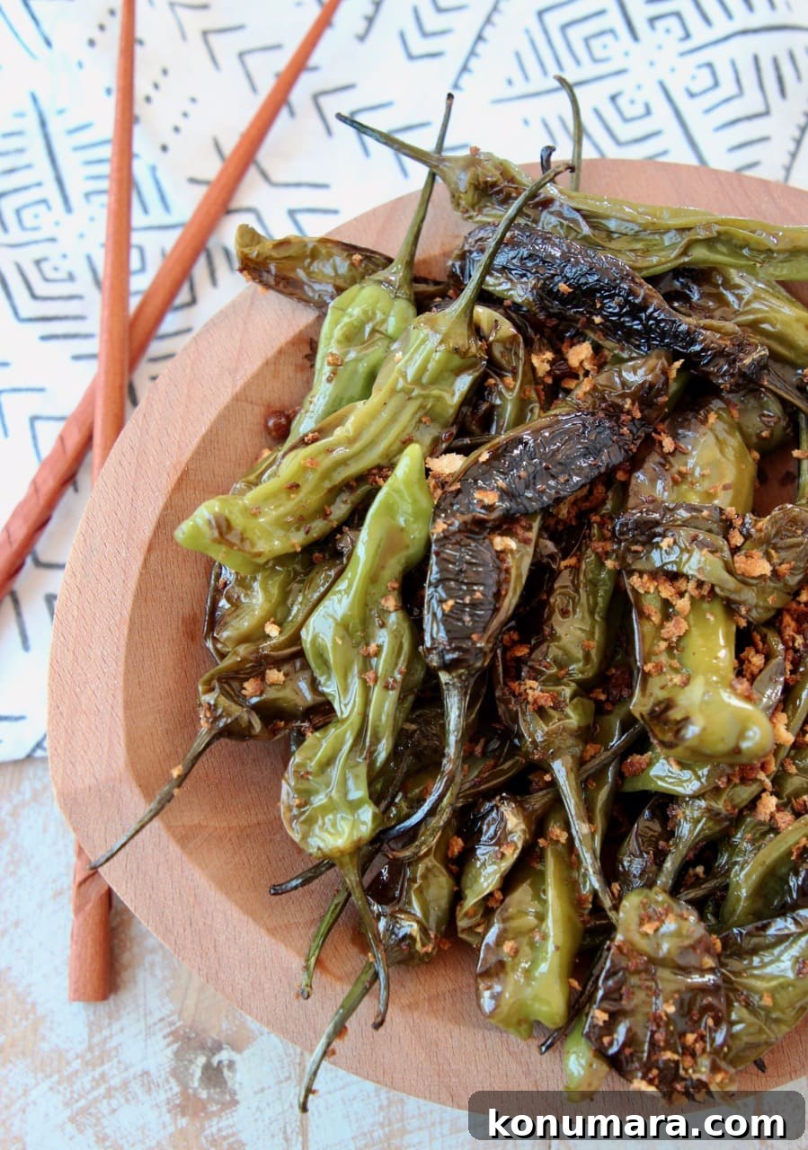 Blistered Shishito Peppers with Soy-Ginger Dipping Sauce 3 Sauteed Shishito Peppers in Soy Ginger Sauce with Chopsticks