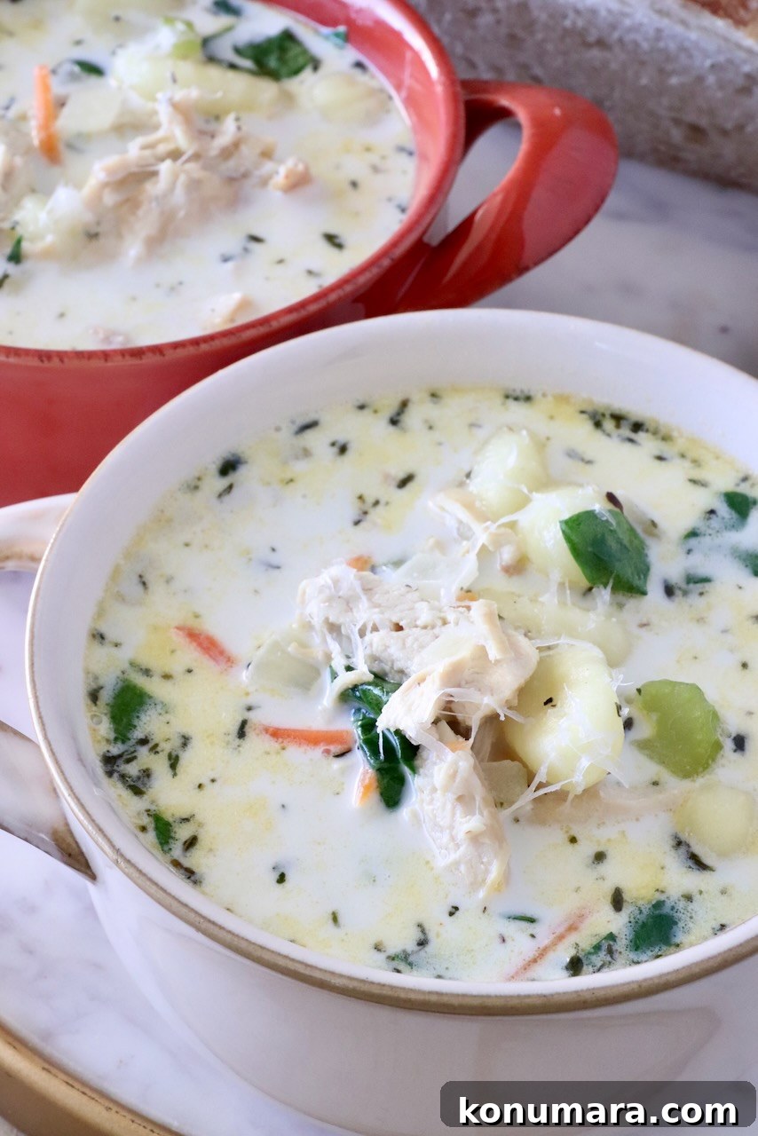 Creamy Chicken Gnocchi Soup Recipe 2 chicken gnocchi soup in two bowls