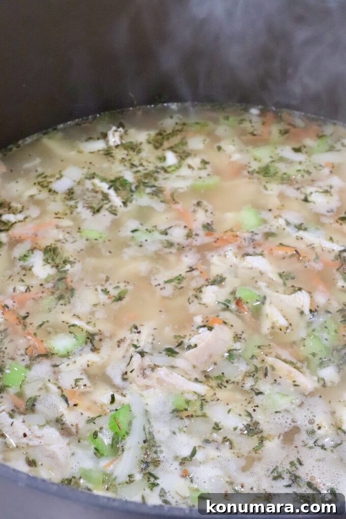 Creamy Chicken Gnocchi Soup Recipe 5 cooked chicken and diced veggies in seasoned broth in a large pot