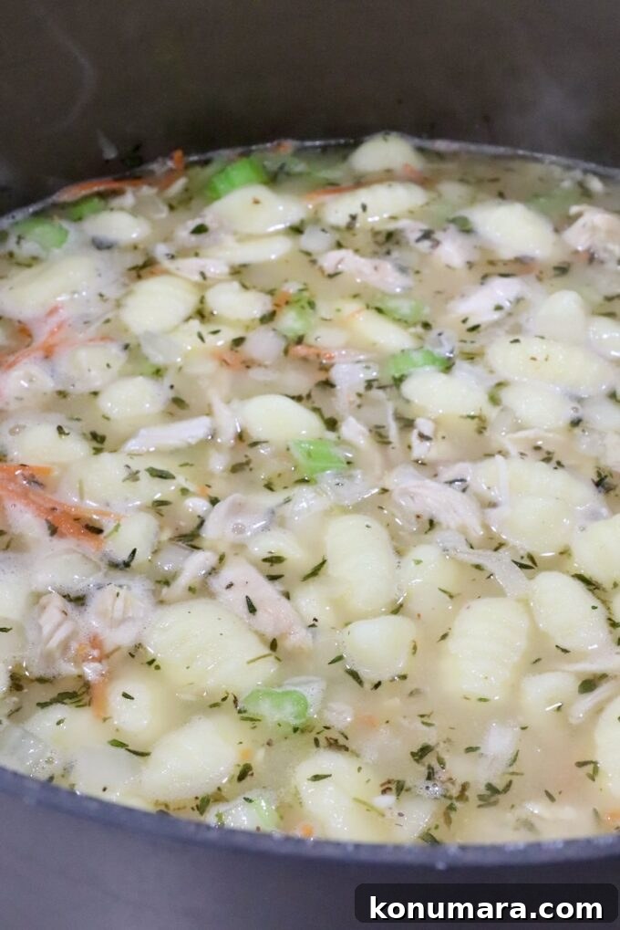 Creamy Chicken Gnocchi Soup Recipe 6 gnocchi, cooked chicken and diced veggies in seasoned broth in a large pot