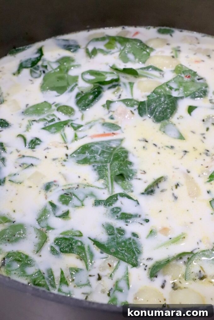 Creamy Chicken Gnocchi Soup Recipe 7 creamy soup in a large pot with spinach, chicken, and veggies