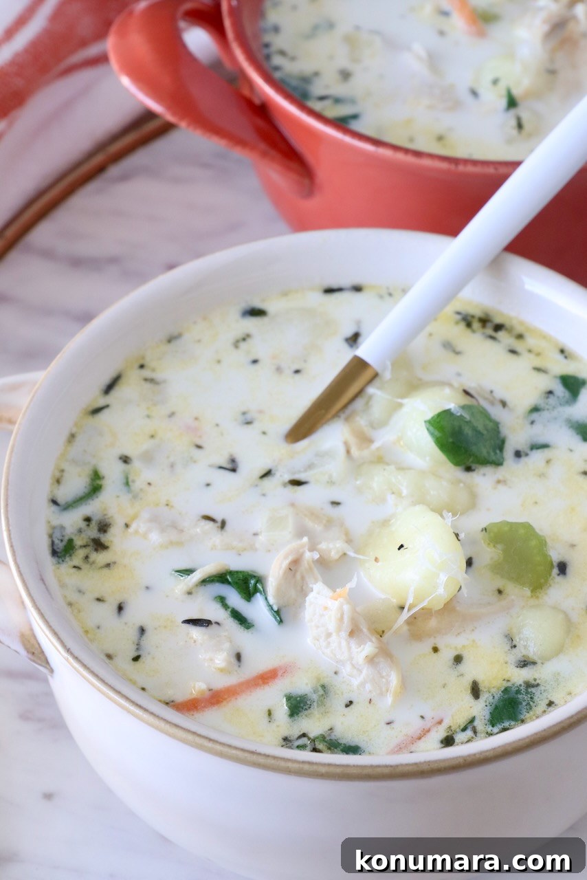 Creamy Chicken Gnocchi Soup Recipe 8 chicken gnocchi soup in bowls with a spoon