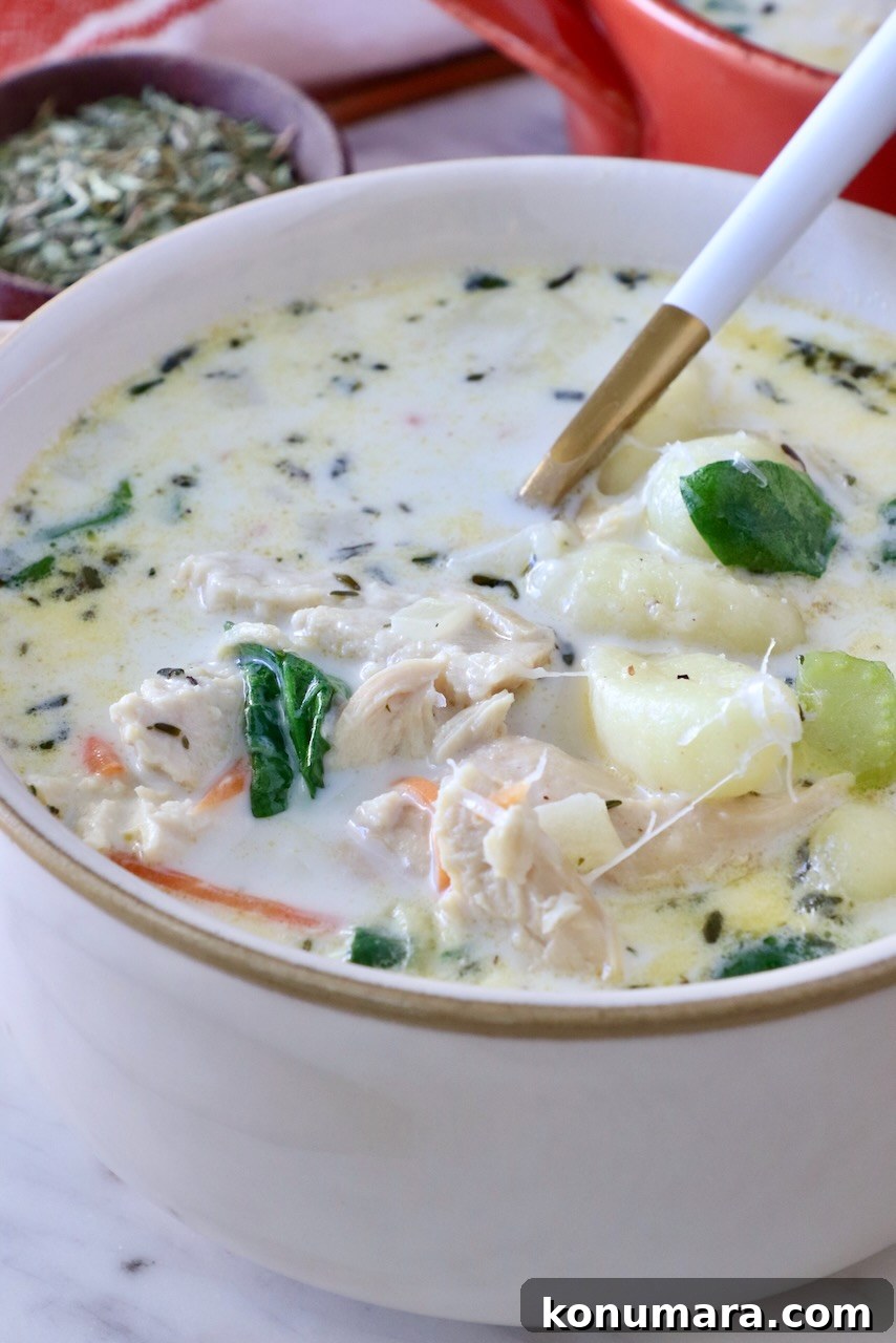 Creamy Chicken Gnocchi Soup Recipe 10 chicken gnocchi soup in a bowl with a spoon