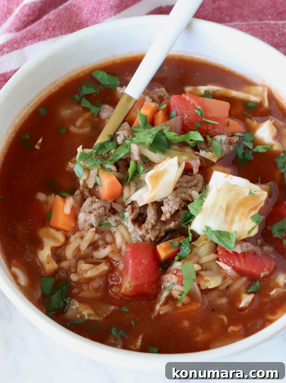 Hearty Cabbage Roll Soup with Savory Tomato Broth 2 cabbage roll soup in a bowl with a spoon