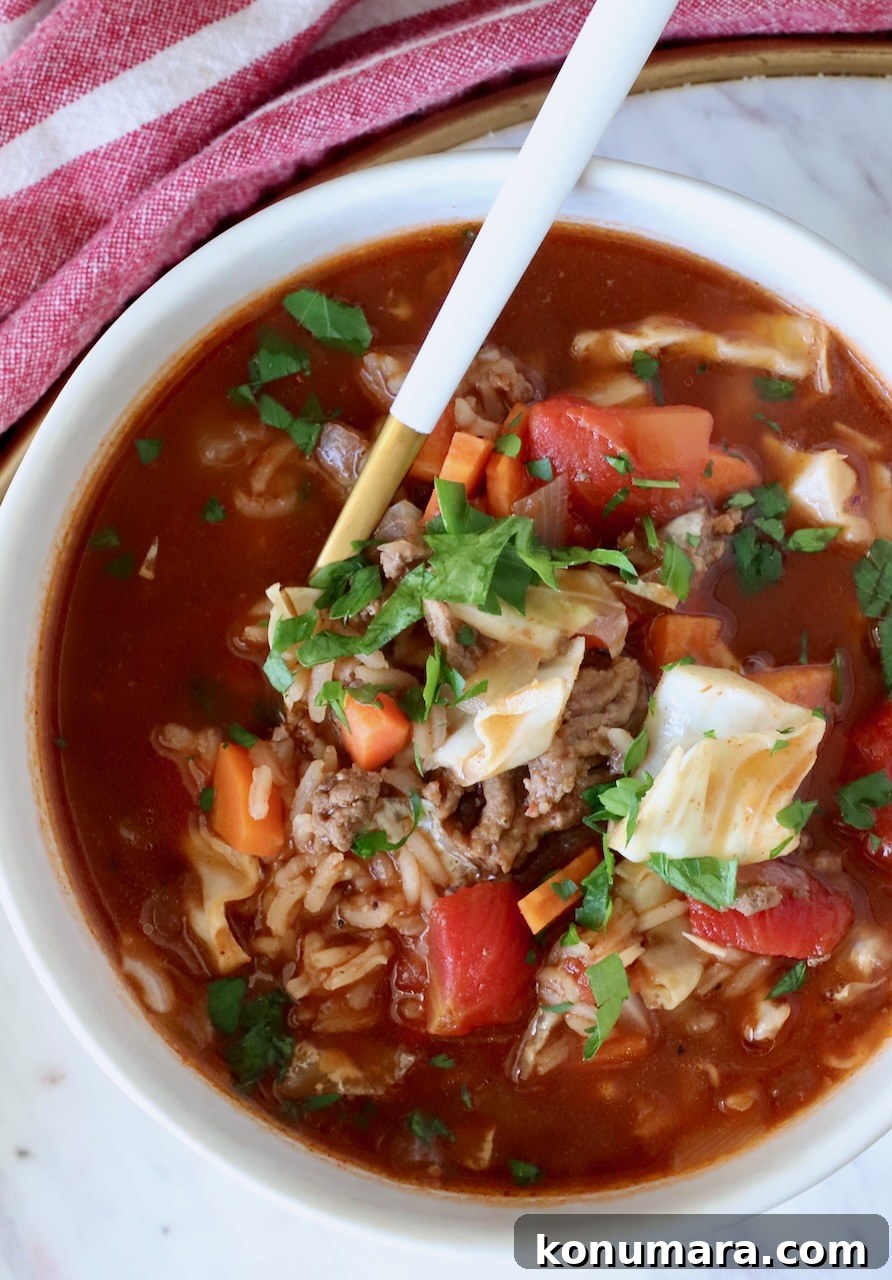Hearty Cabbage Roll Soup with Savory Tomato Broth 11 cabbage roll soup in a bowl with a spoon