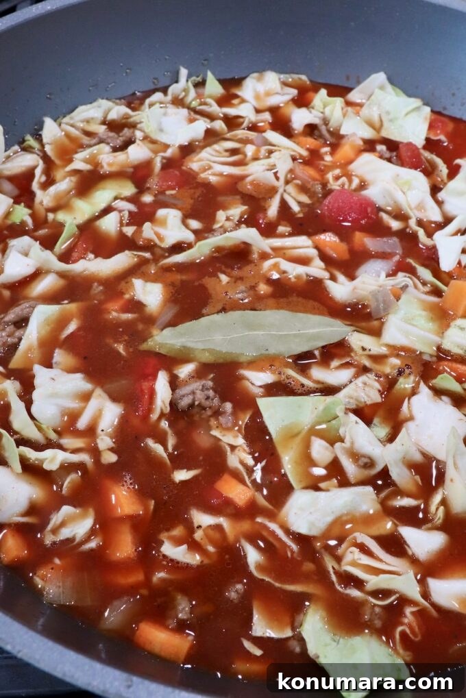 Hearty Cabbage Roll Soup with Savory Tomato Broth 8 cabbage roll soup ingredients mixed up in a large pot on the stove