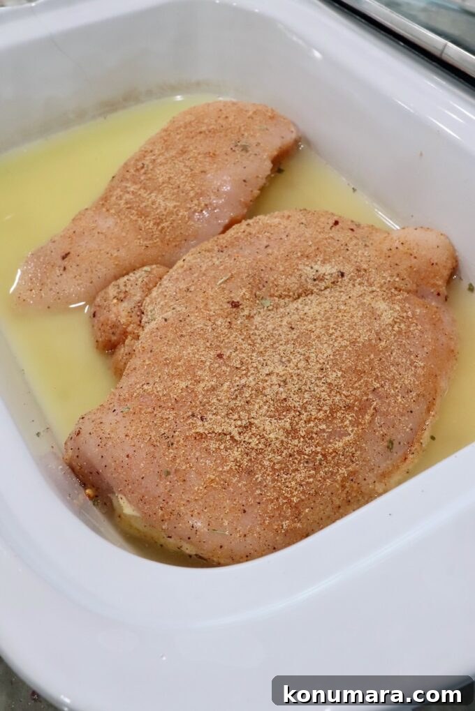 Slow Cooker Shredded Chicken Recipe for Tacos and Sandwiches 4 raw seasoned chicken breasts in a slow cooker with chicken broth