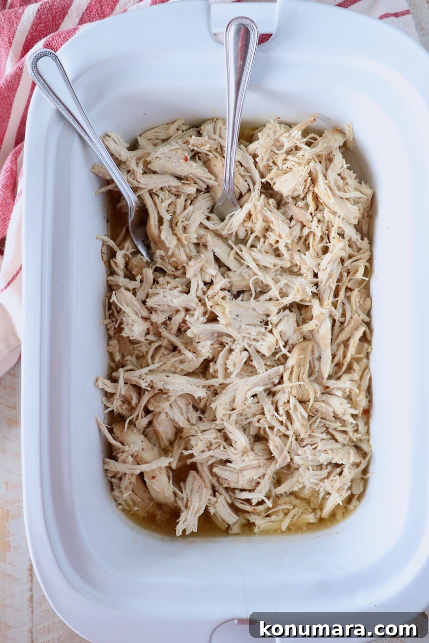 Slow Cooker Shredded Chicken Recipe for Tacos and Sandwiches 7 cooked shredded chicken breasts in a slow cooker with two forks