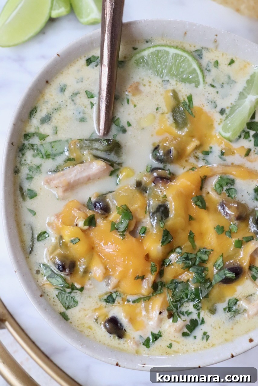 cheddar cheese melted on top of a boil of chicken poblano soup