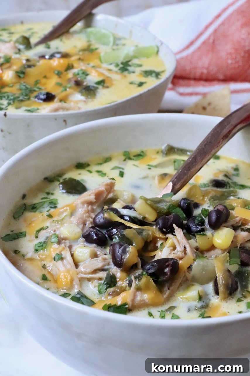 black bean and chicken poblano soup in a bowl with a spoon