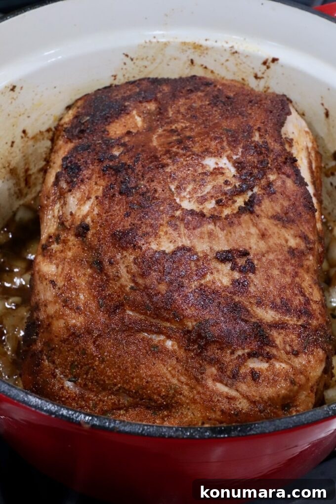 seasoned seared pork shoulder in a large cast iron pot