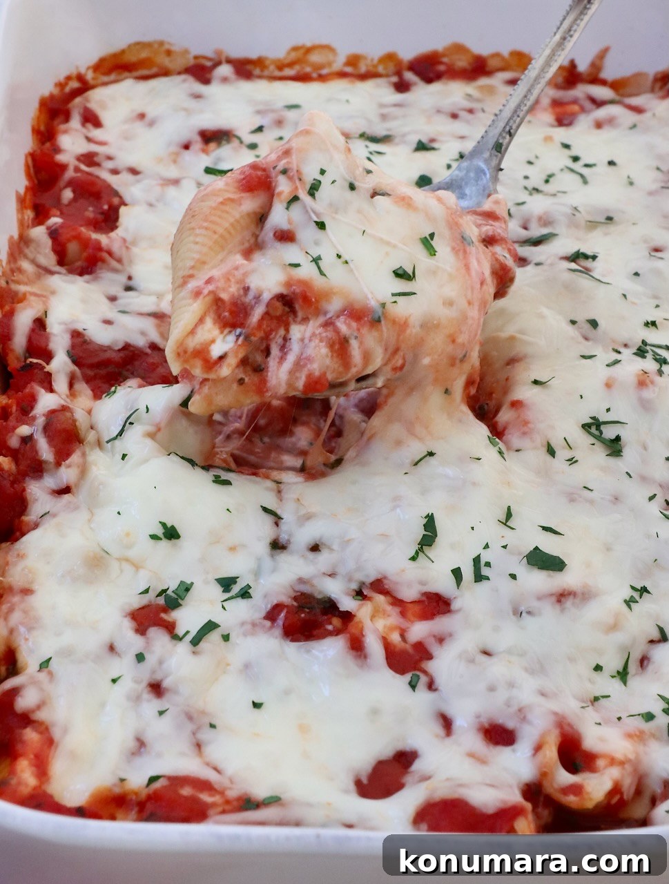 Ricotta Stuffed Shells Recipe with Spinach 11 one cheese stuffed pasta shell lifted out of a casserole dish full of stuffed shells with a large spoon